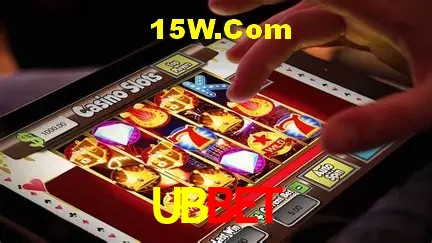 Login Interface